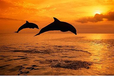 策略新作《野蛮人王国》公布 将通过Steam登陆PC